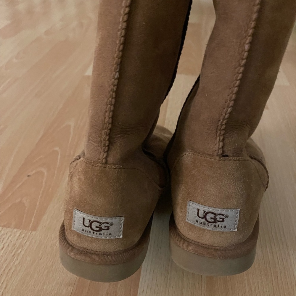 Tall Chestnut Ugg Boots